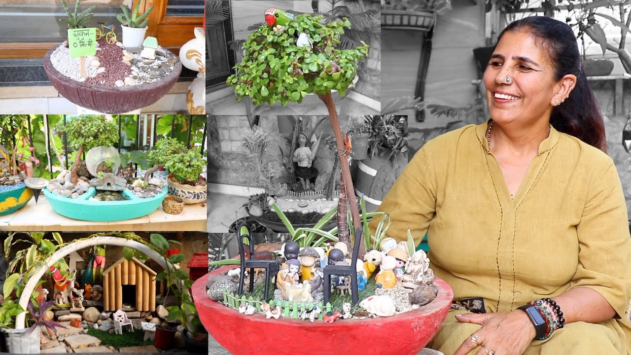 10 मिनट में घर बनायें Tray Garden 🌿 Low Budget + Expert View+ Full Creativity