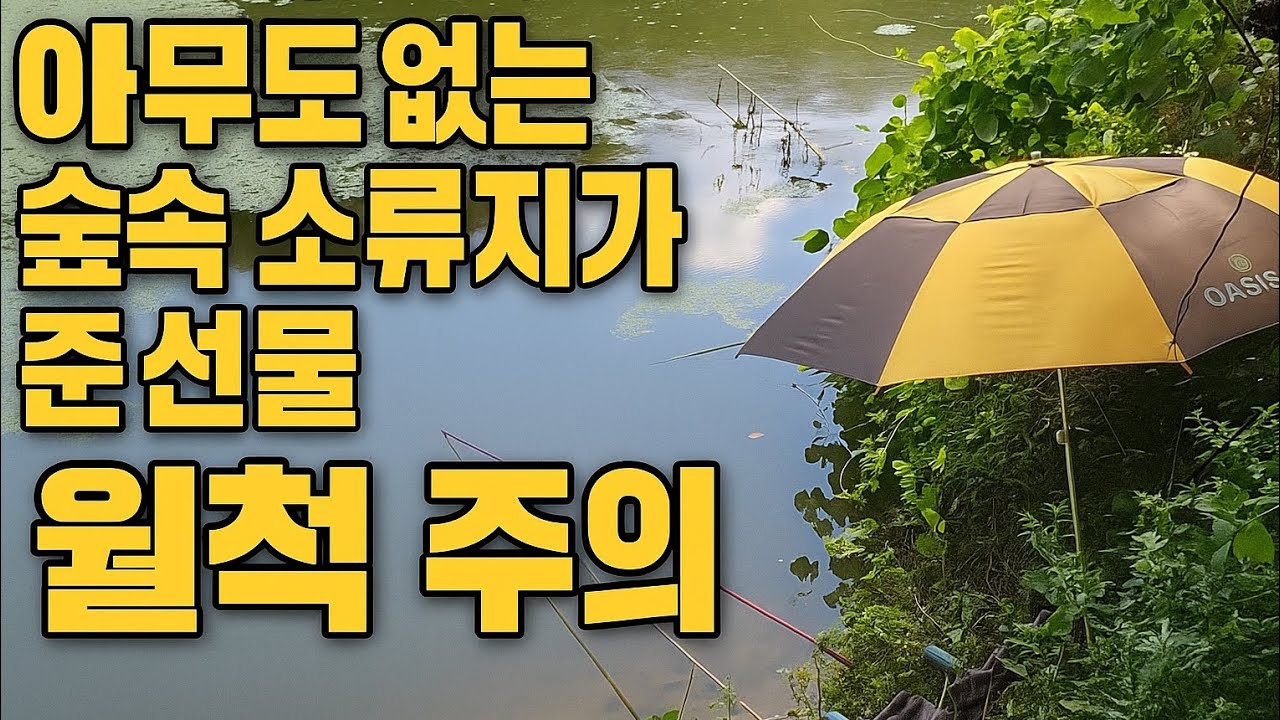 아무도 없는 산속 계곡지에서 뜻밖의 선물                                      붕어낚시 월척  전북 전주 완주 시원한 계곡지 소류지 붕어 낚시 지티비티