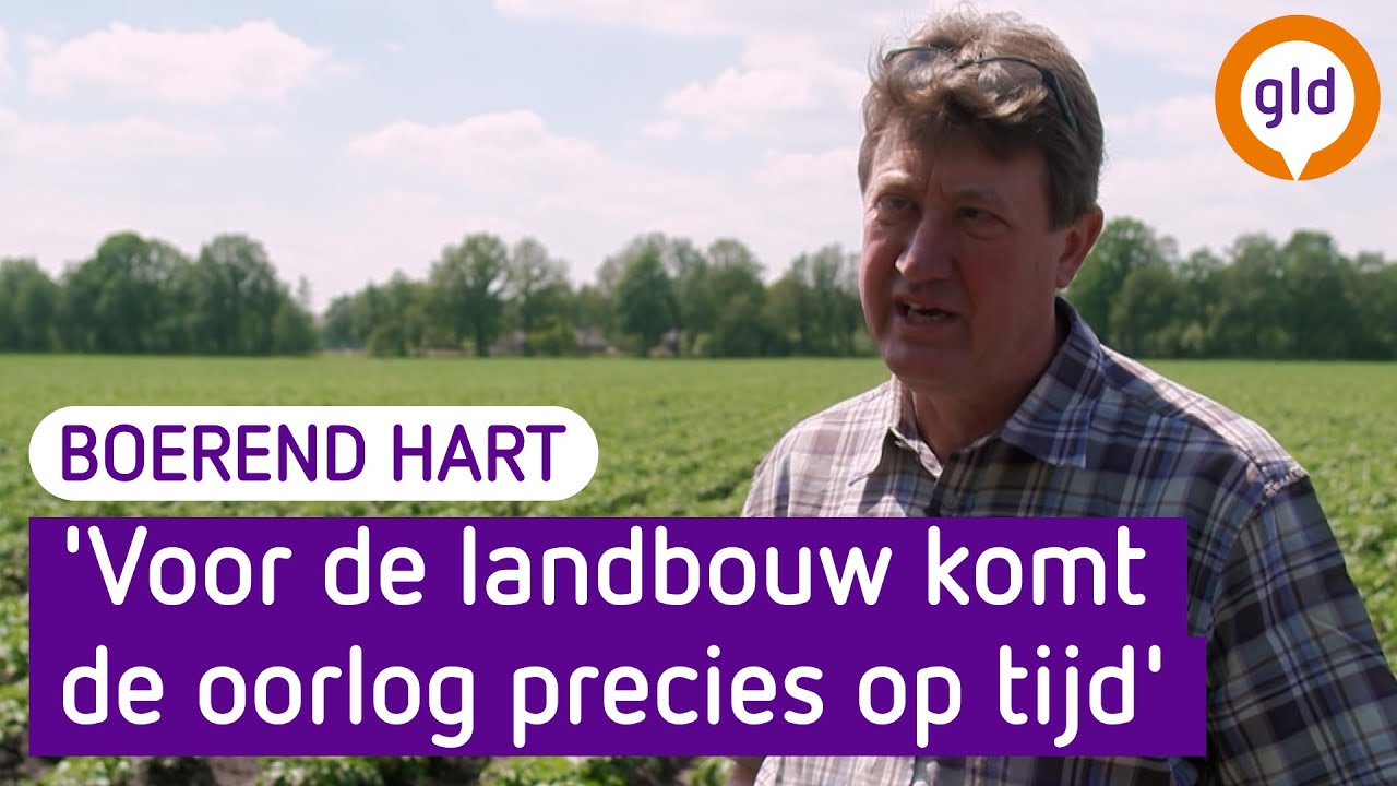 Kan de politiek iets doen aan de hoge voedselprijzen? | Boerend Hart
