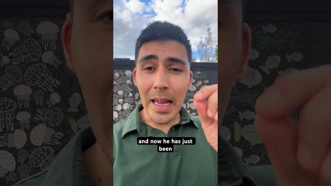 Ben Roberts Smith has just been arrested for war crimes.