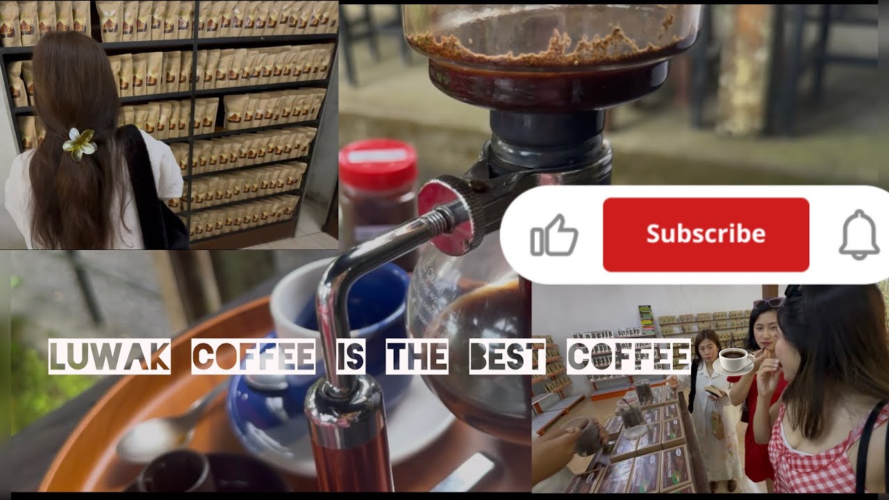 RARE COFFEES I HAVE TASTED IN BALI| PART-ll COFFEE PLANTATION.. 😊