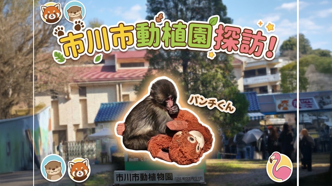 【二分鍾的旅行-市川市動植物園探訪】療癒爆表！遇見「パンチくん」 #市川市動植物園#日本猴 #パンチくん #punchmonkey 君   #パンチくん #がんばれパンチくん