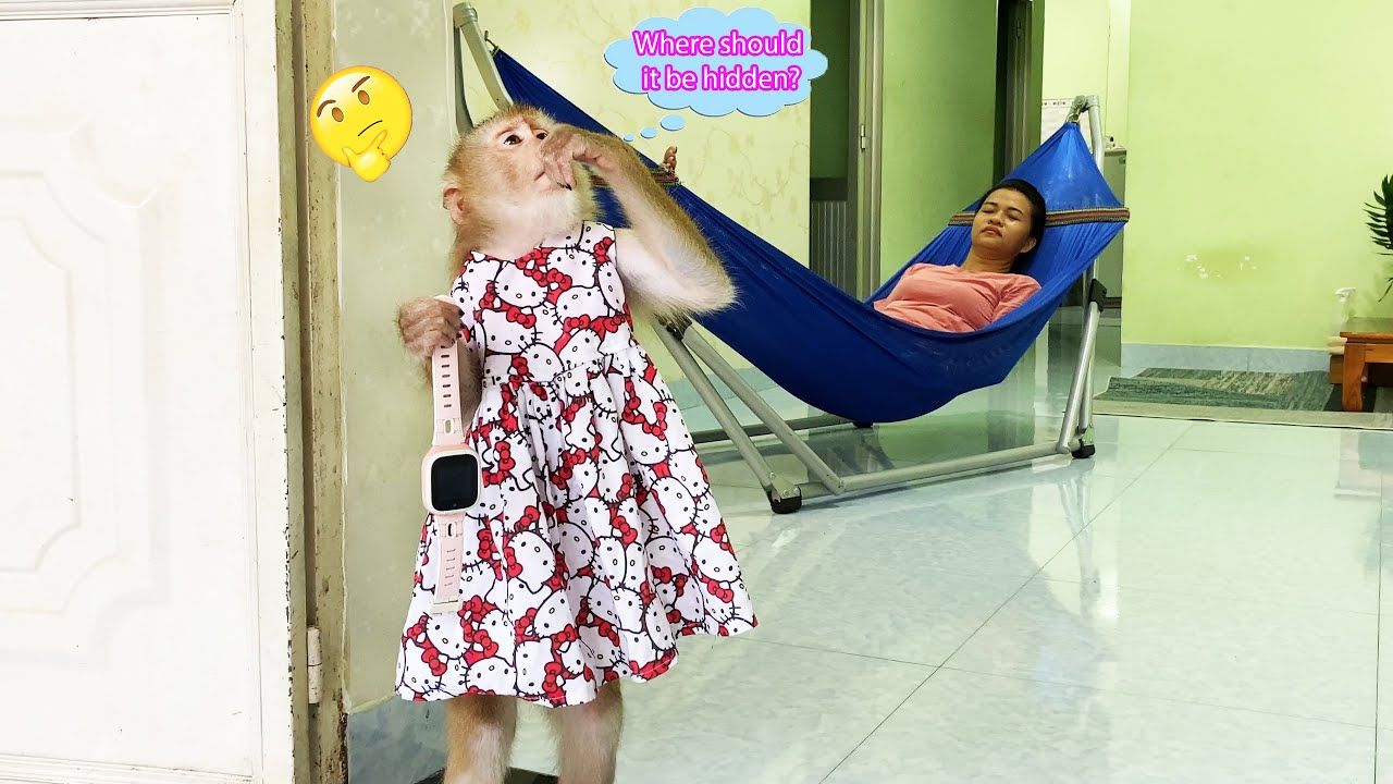 Monkey Lyly planned to secretly go out so that her mother wouldn't find out.