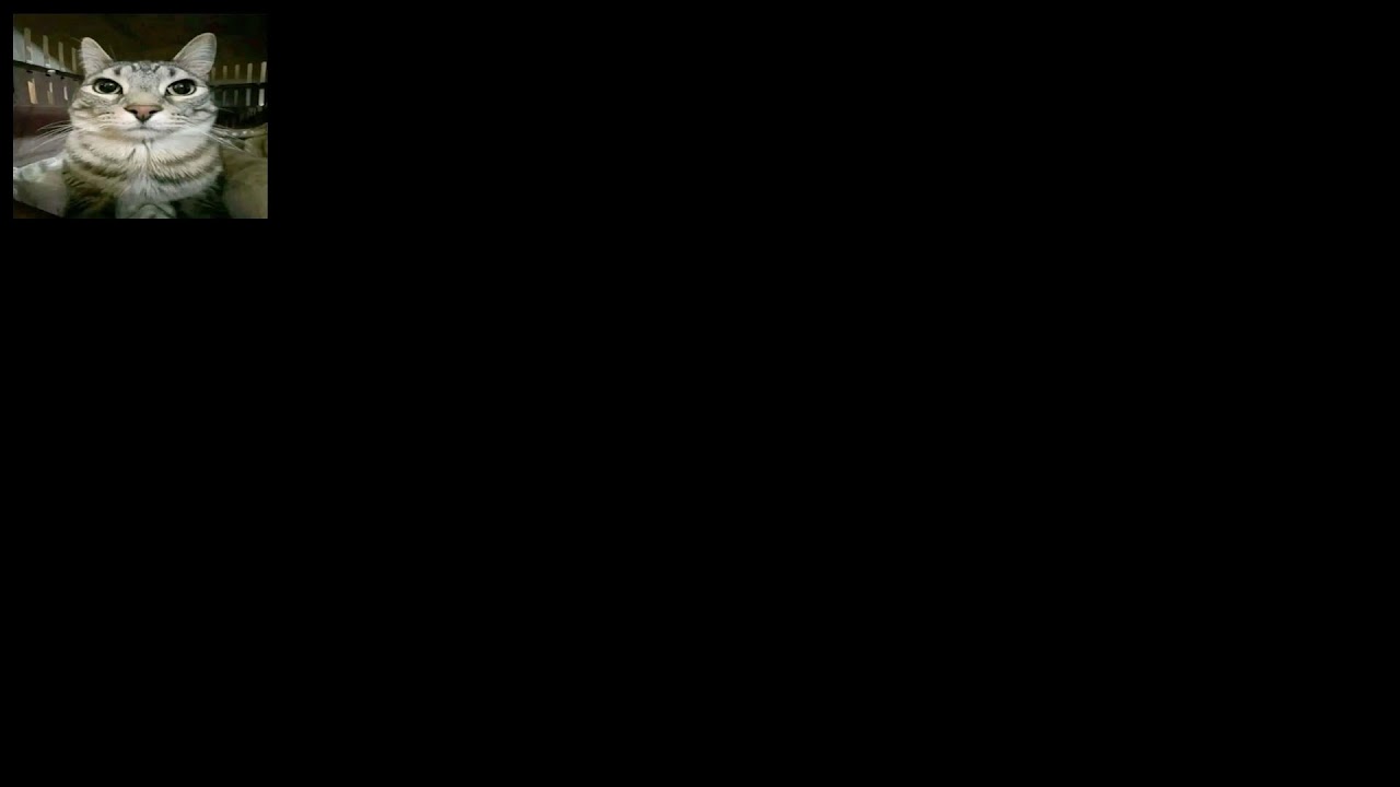 67