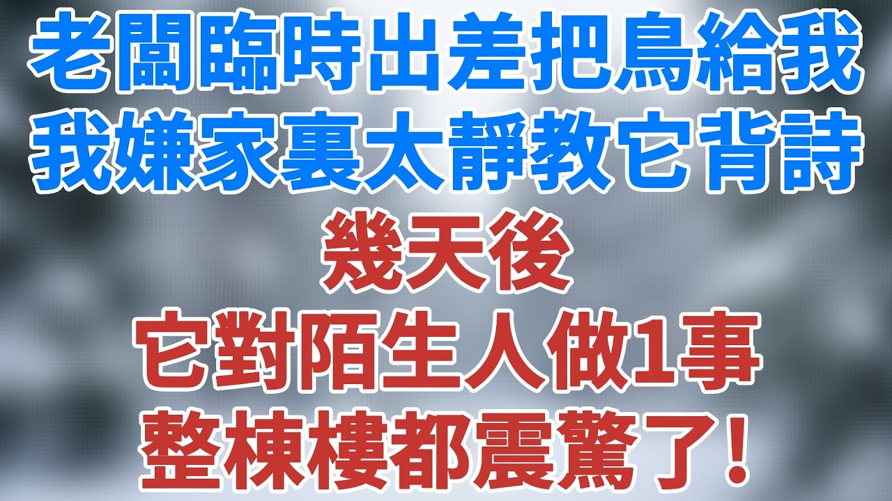 老闆臨時出差把鳥交給我，我嫌家裏太靜就教它背詩，幾天後，它對陌生人做一事，整棟樓都震驚了！#情感 #深夜淺讀 #講故事 #幸福生活 #夜讀人生 #小說 #情感小說 #暖心故事 #雪兒講故事 #情感故事