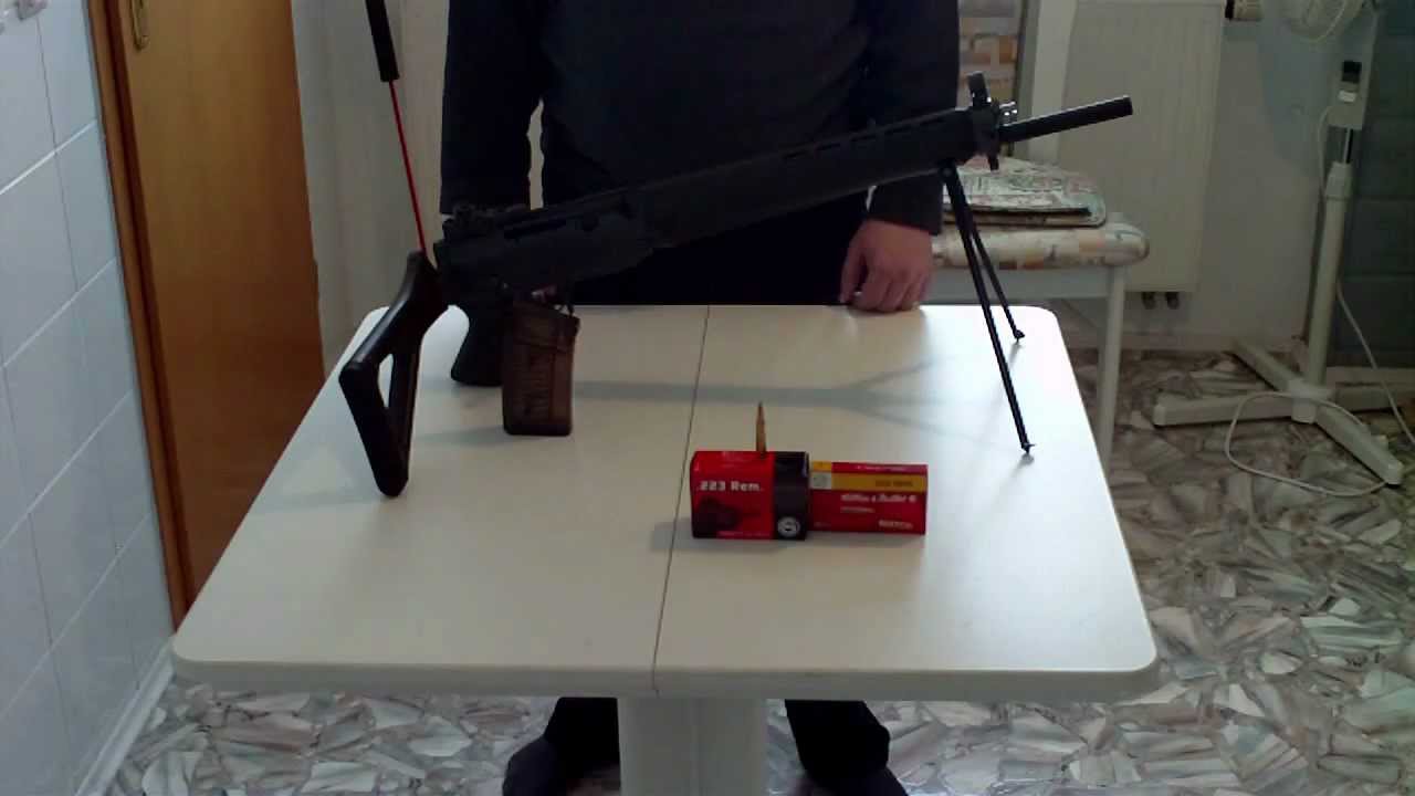 Mein SIG 550