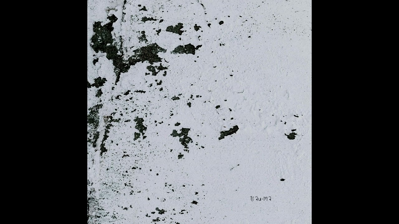 Veiga - Parapraxis (The Preventer Remix)[TRM345]