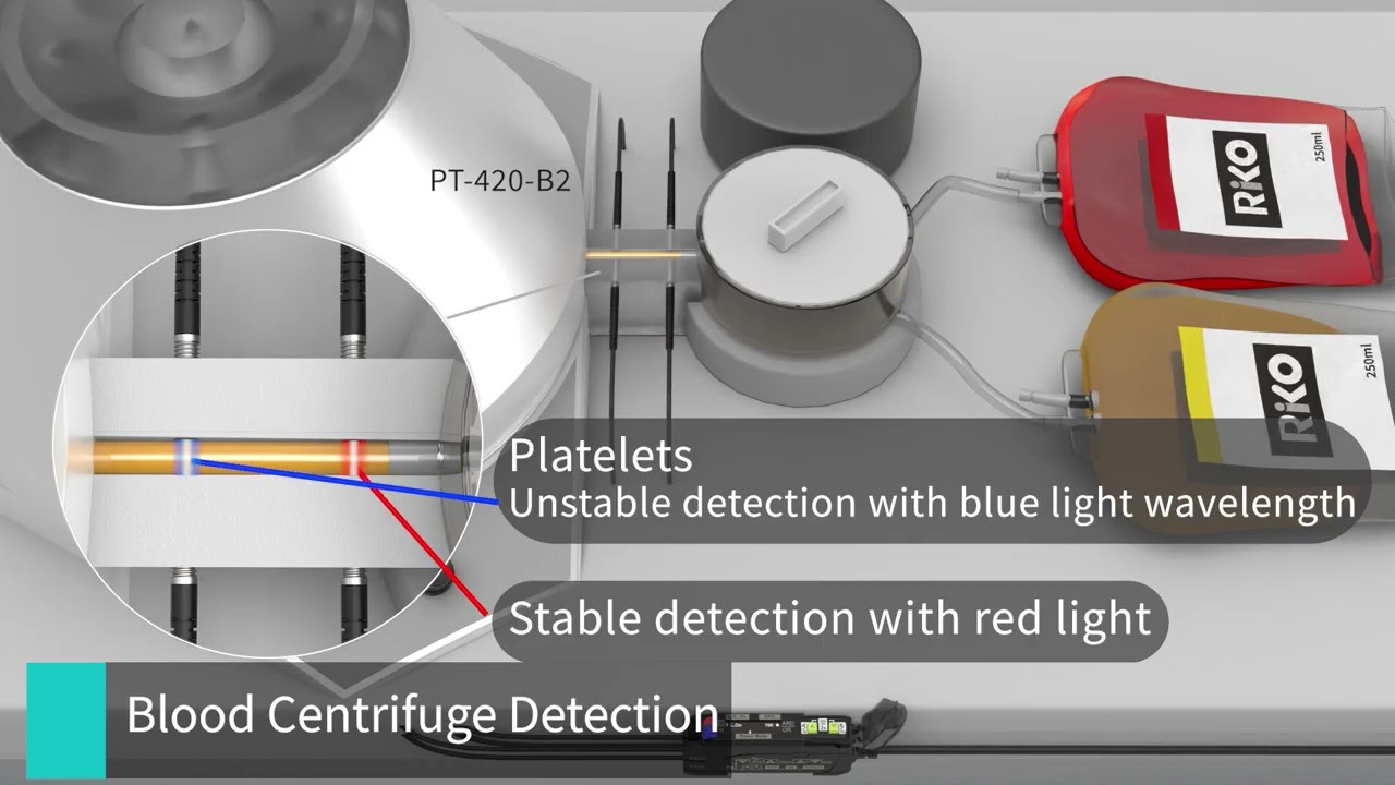 RiKO ｜AR212-N / P｜Red / Blue Light Logic Fiber Optic Amplifier