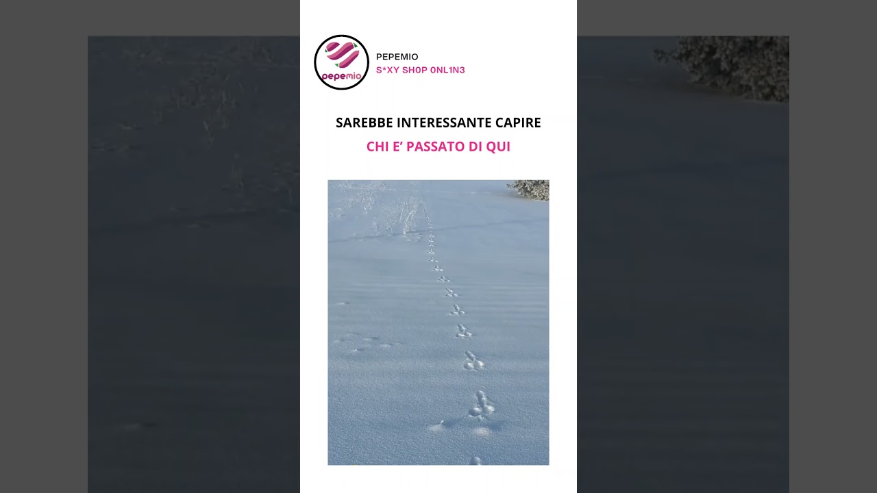 effettivamente sarebbe molto interessante capire chi è passato di qui 😂😂😂 