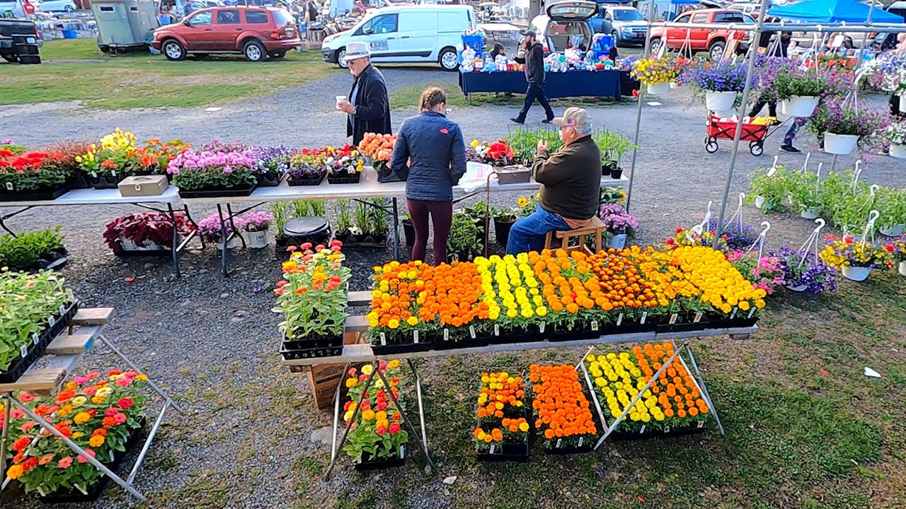 First Day At Market Selling Flowers!