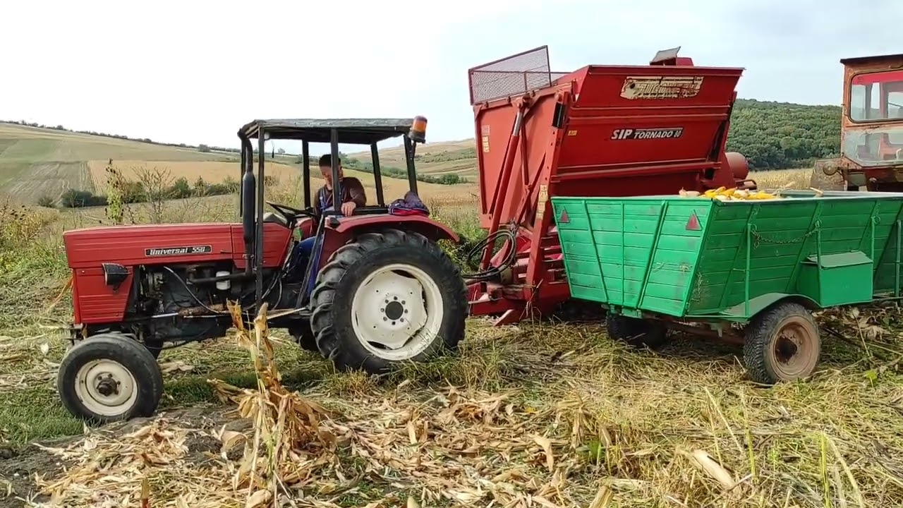 Kukorica-szüret  2024🤠Síp Tornado-80,Kétsoros kukoricaszedőgèpel🌽🌽👍