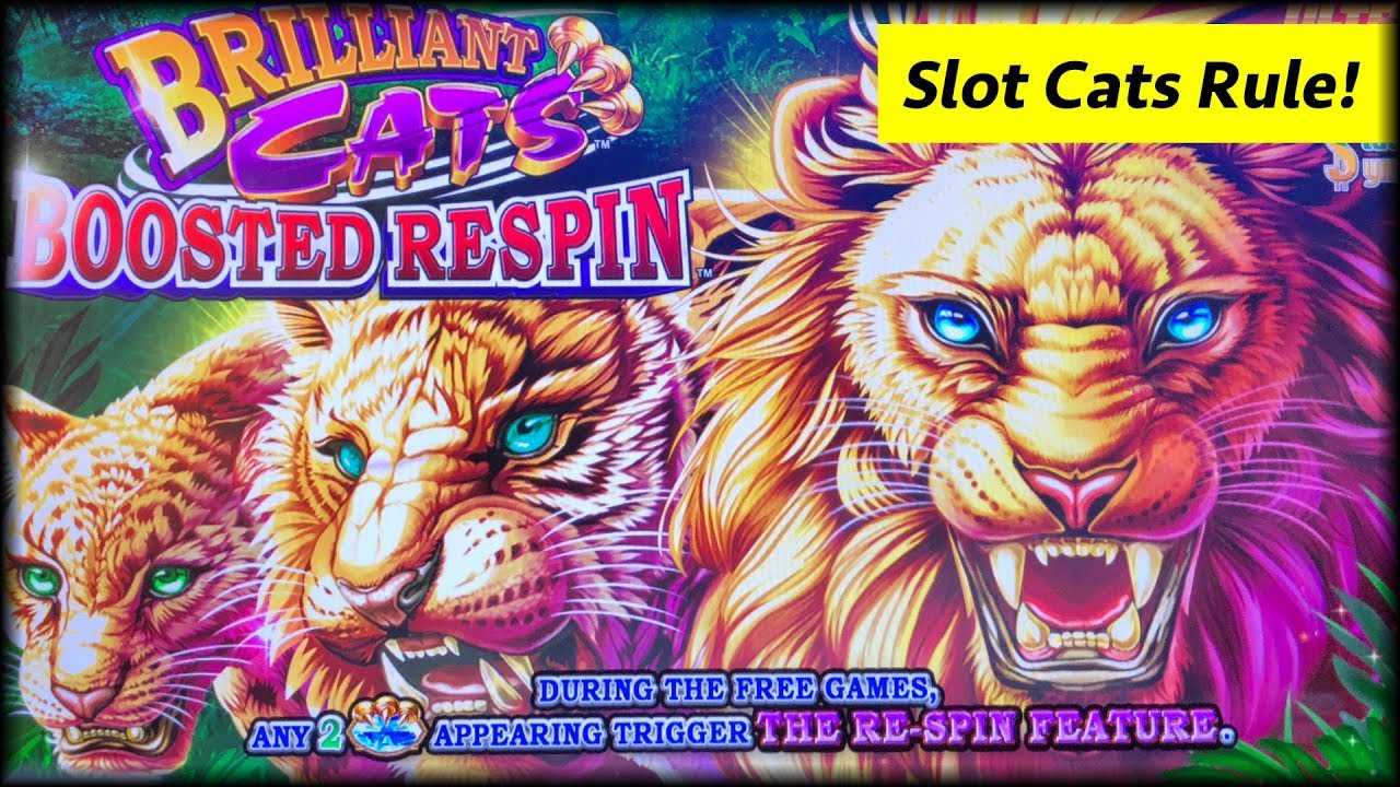 Ultimate Fire Link 🔥 Brilliant Cats 🦁 The Slot Cats 🎰😸😺