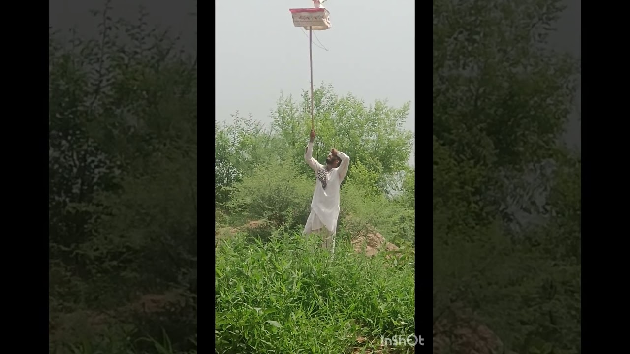 Qasam wahla laddu ka kabutar oud Gaye 1 August 2026