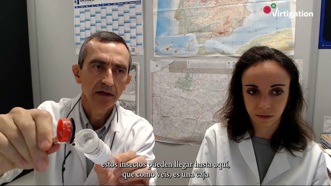Podcast de VIRTIGATION de historias sobre sanidad vegetal #1: Inoculaciones con insectos