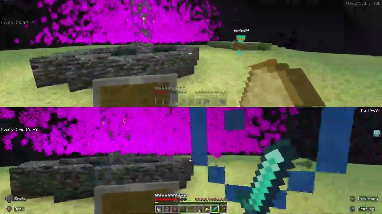 The Ender Dragon Has Been Defeated