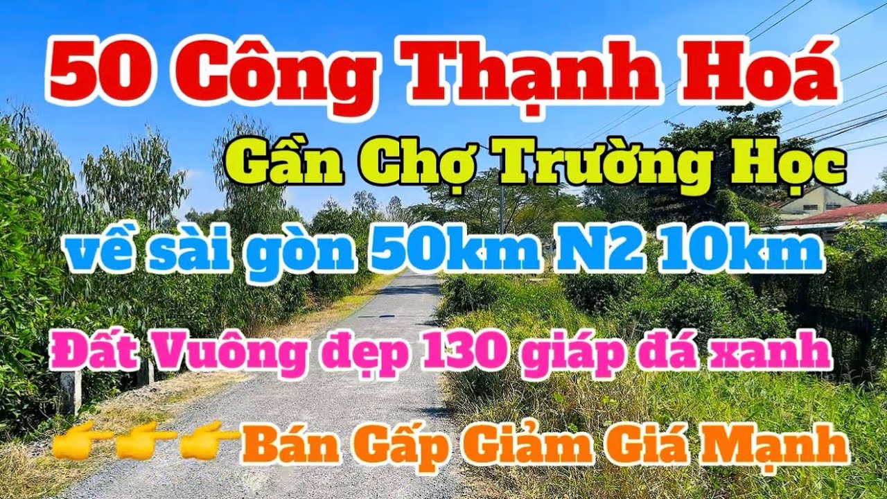 (Số 866) Quá Đẹp 👉50 Công📍Bán Gấp Gần Chợ Trường Học 💥Sài Gòn 50km Tại Thạnh Hoá