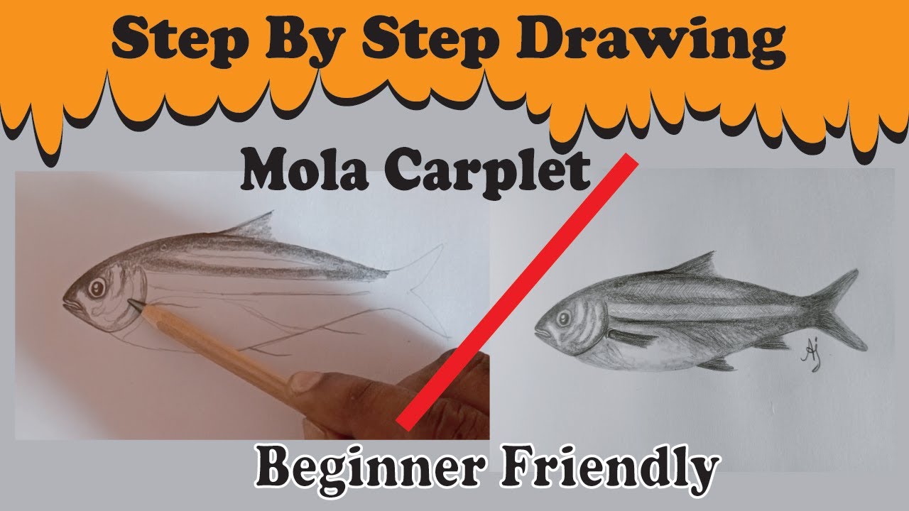 How to Draw a Mola Carplet Fish Step by Step | Easy sketch | Quick Mola Carplet Sketch