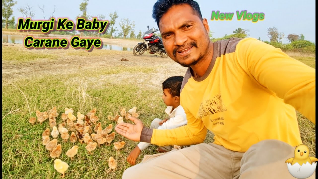 Murgi Ke Baby Carane Gaye New Vlog 🐥||#couplevlogs #vlogger #familyvlog 