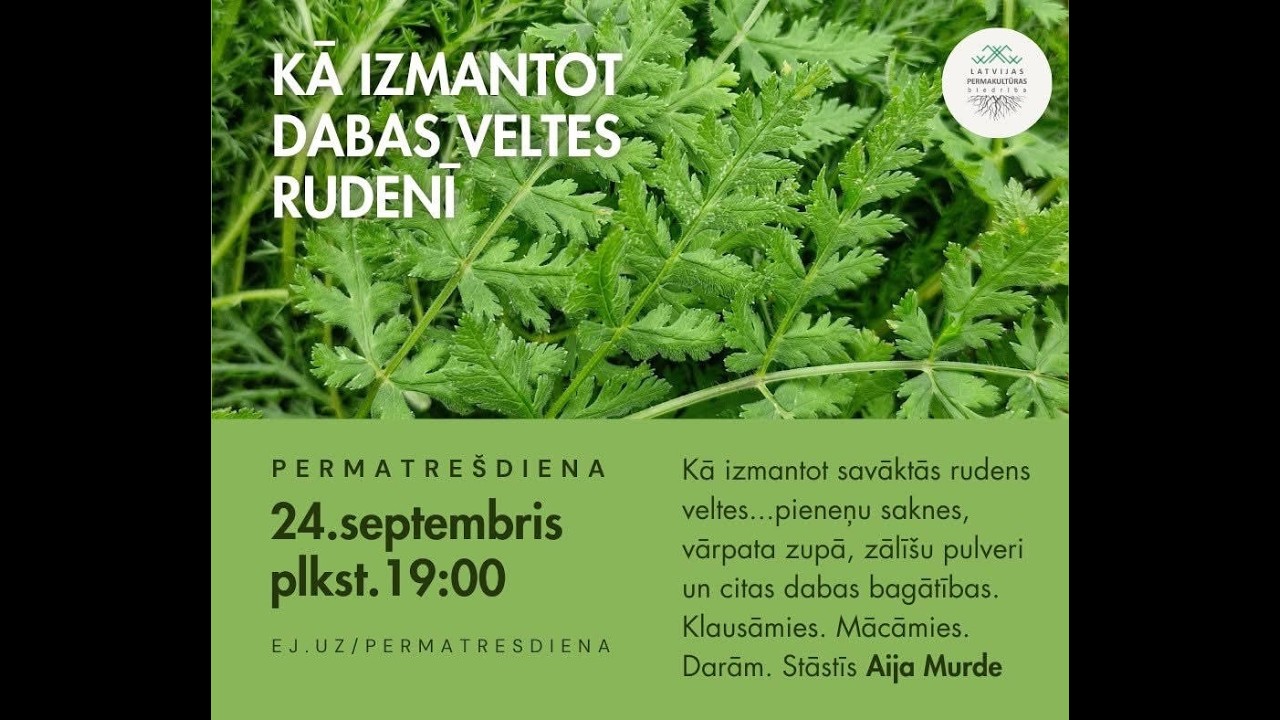 Rudens veltes. Aija Murde. (Permatrešdiena 4.sezona)