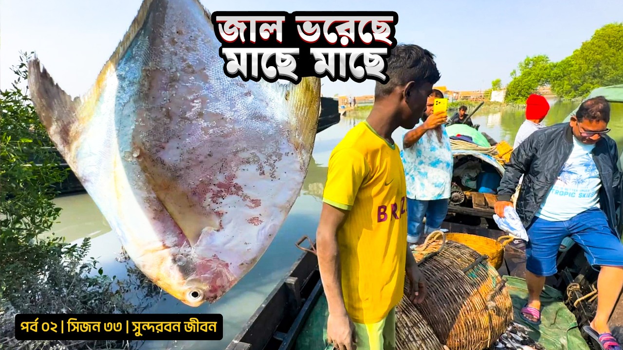 জাল ভরেছে মাছে মাছে | দুবলার চর | সিজন ৩৩ | পর্ব ০২ | Belayet Sarder | Mohsin ul Hakim