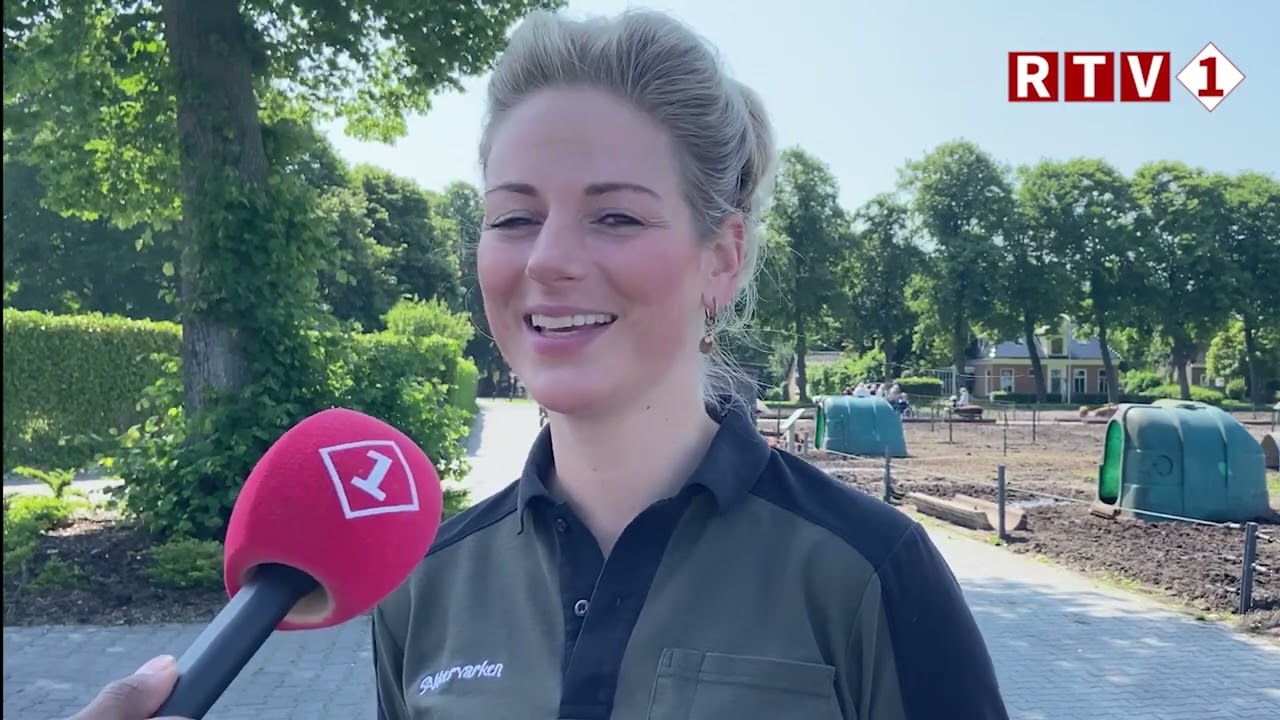 Knuffelen met varkens als therapie