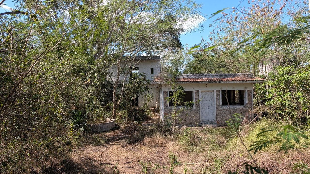 Encontramos un Rancho abandonado en medio de la selva #urbanexploration #explorepage 