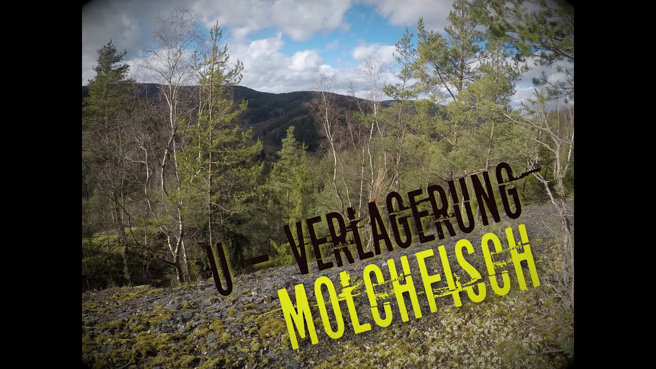U-Verlagerung Molchfisch 443m Sohle