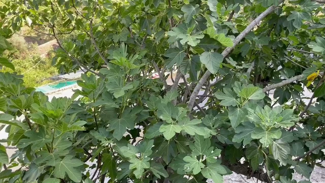 Airole. Liguria, italia.