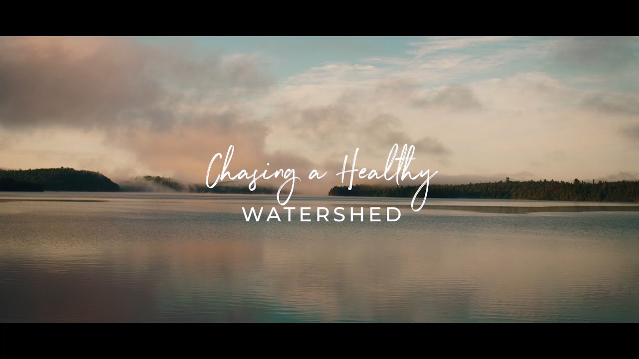 Chasing a Healthy Watershed