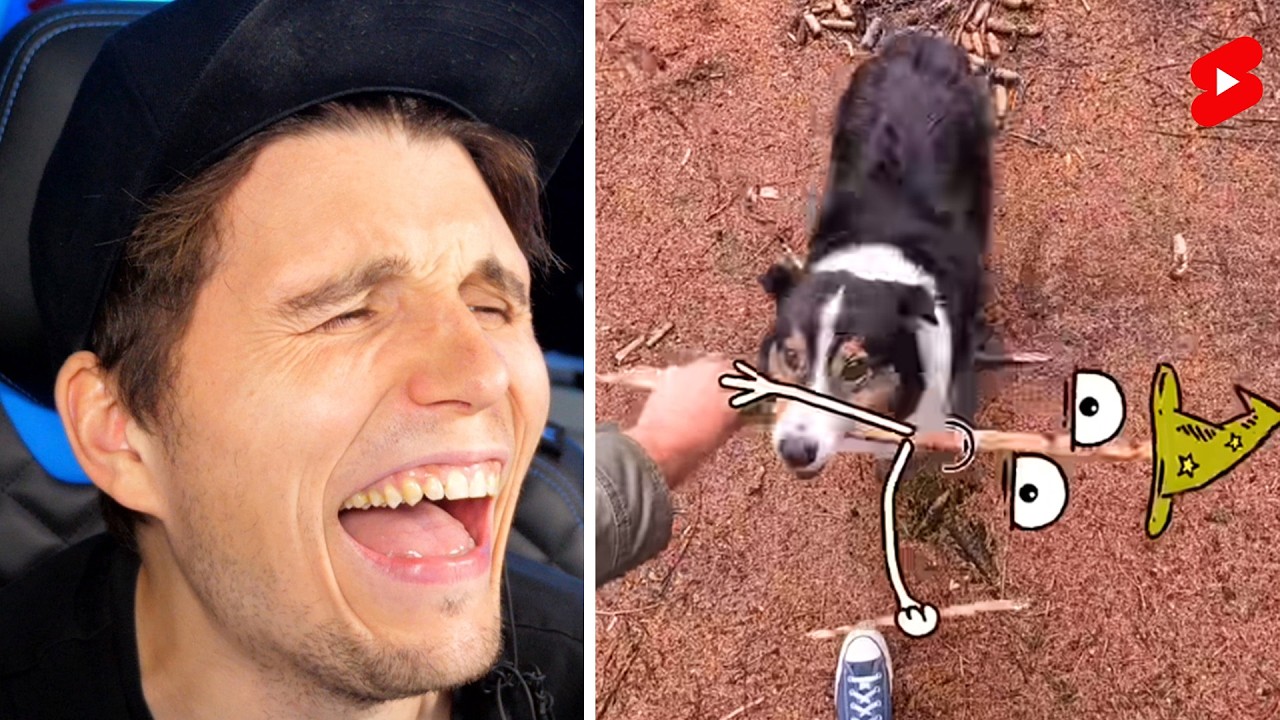 Paluten guckt Shorts bis ein Hund Millionär wird