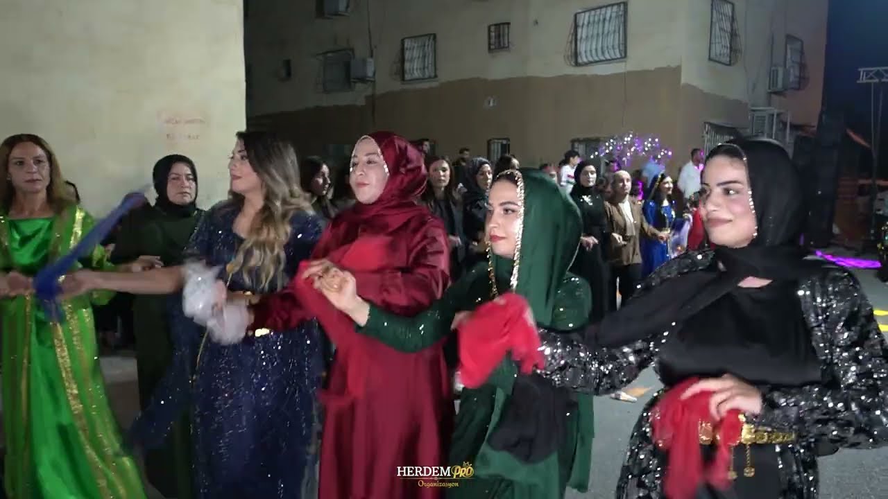 Dilan Müzik Serkan Camik Yan Bağlama