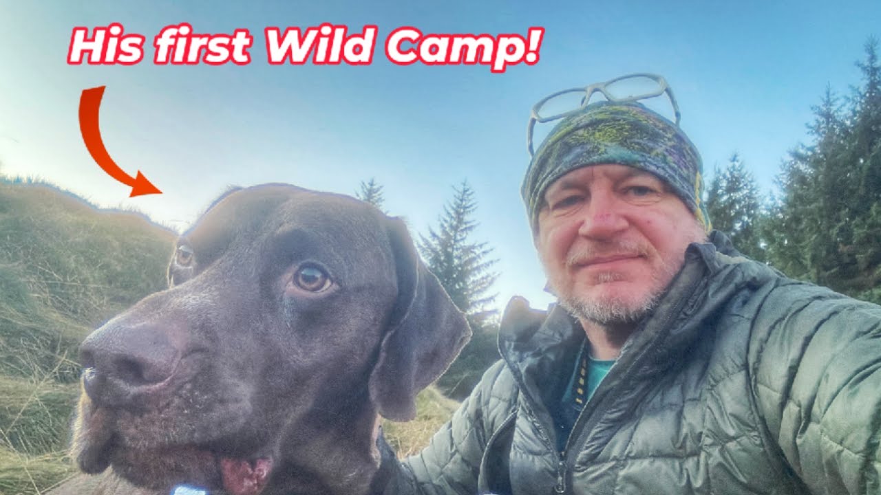 Dogs first Wild Camp! | Testing the Akaso Seemor 200 night vision goggles #wildcampinguk