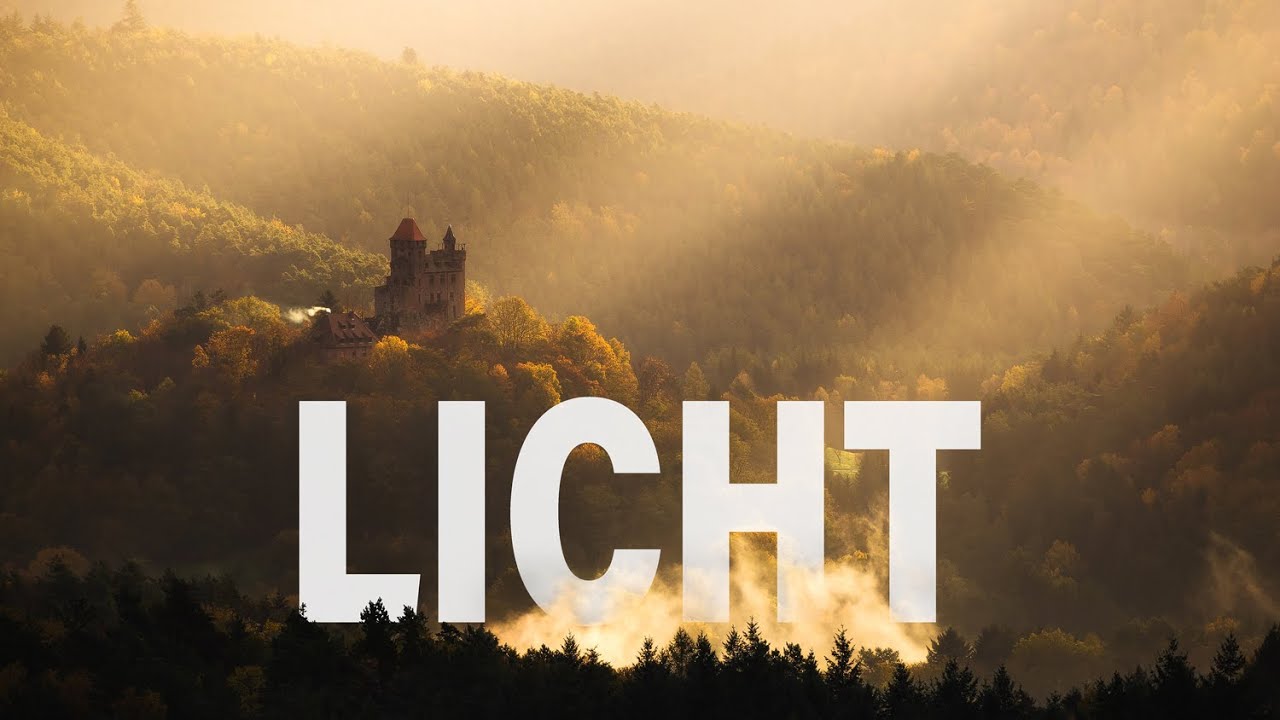 Perfektes Licht im Pfälzer-Wald | Landschaftsfotografie