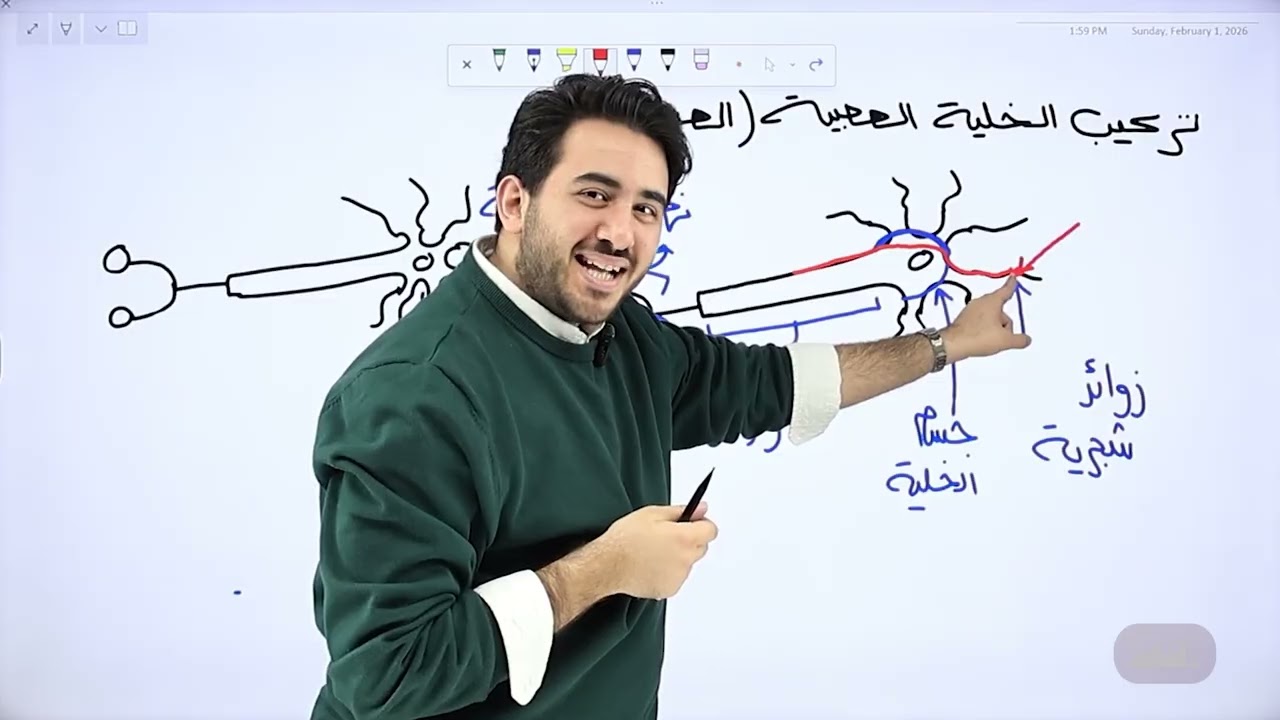 توجيهي 2008 | الأستاذ محمد البطاينة ✅ |  تركيب الخلية العصبية العصبونات   يوتيوب👌