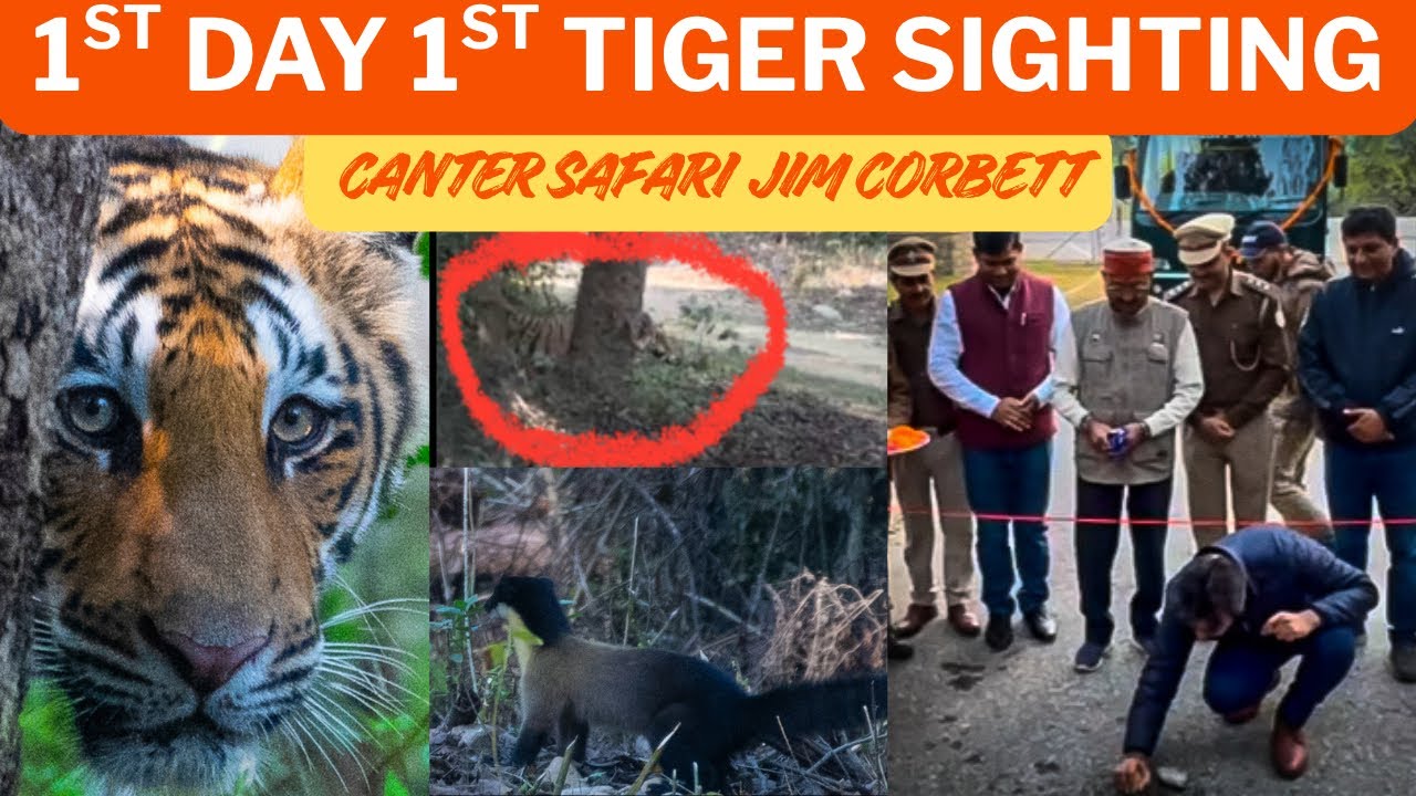 Opening Safari Dhikala Zone | Jim Corbett National Park 