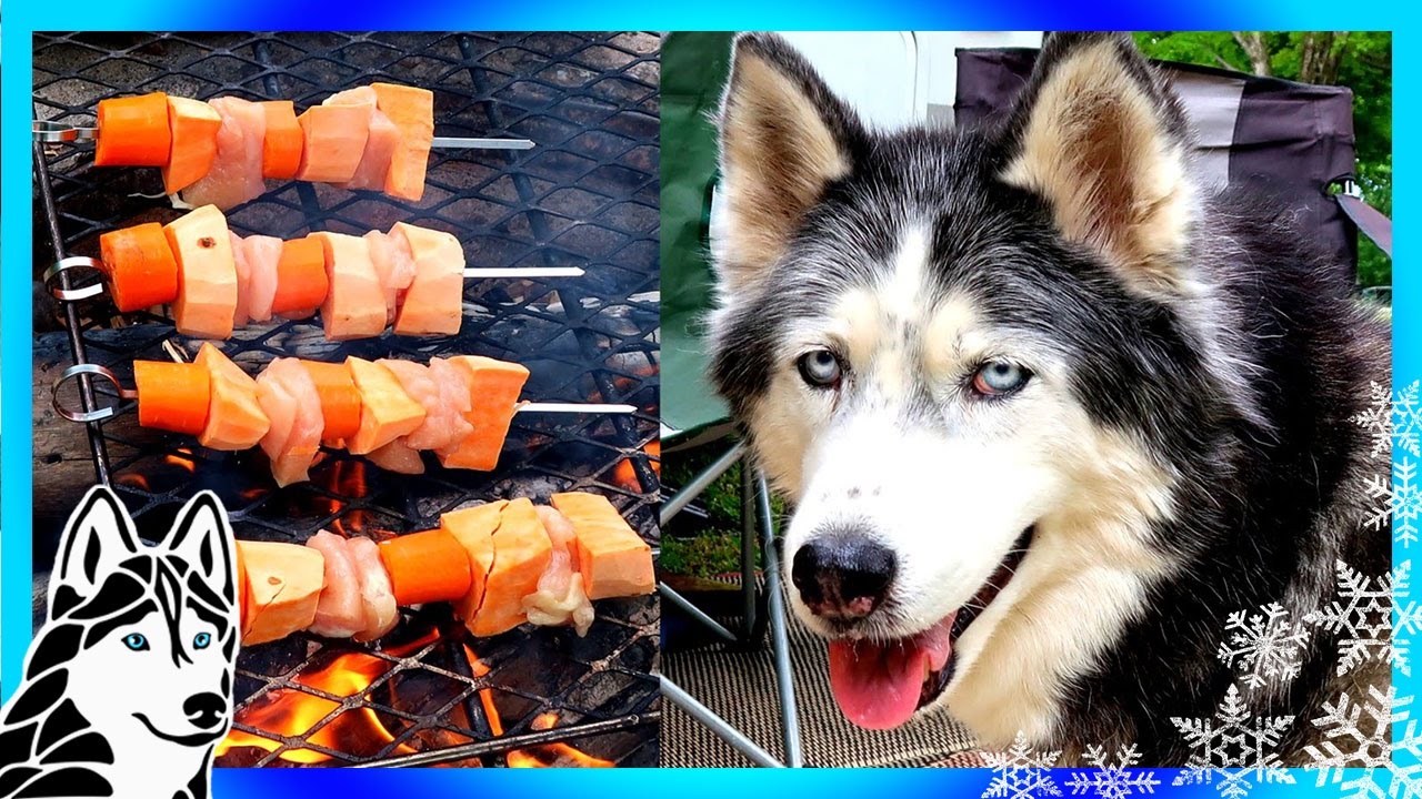 CAMPING SHISH KABOBS DIY DOG TREATS  | Snow Dogs Snacks 53 | Dog Treats