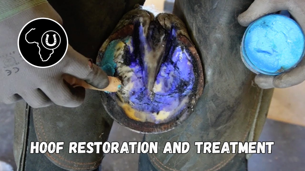 Full hoof restoration and treatment