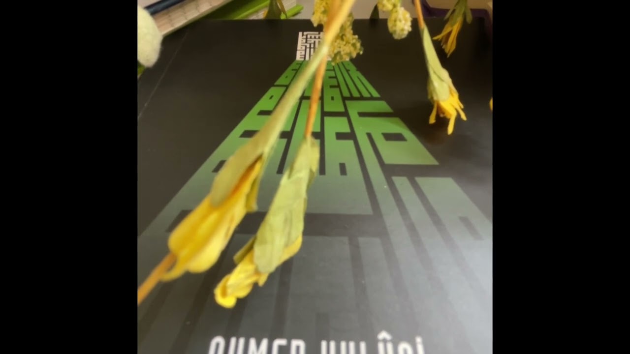 TEK’in SEYRİ, Ahmed Hulusi, Sesli Kitap , Bölüm 2