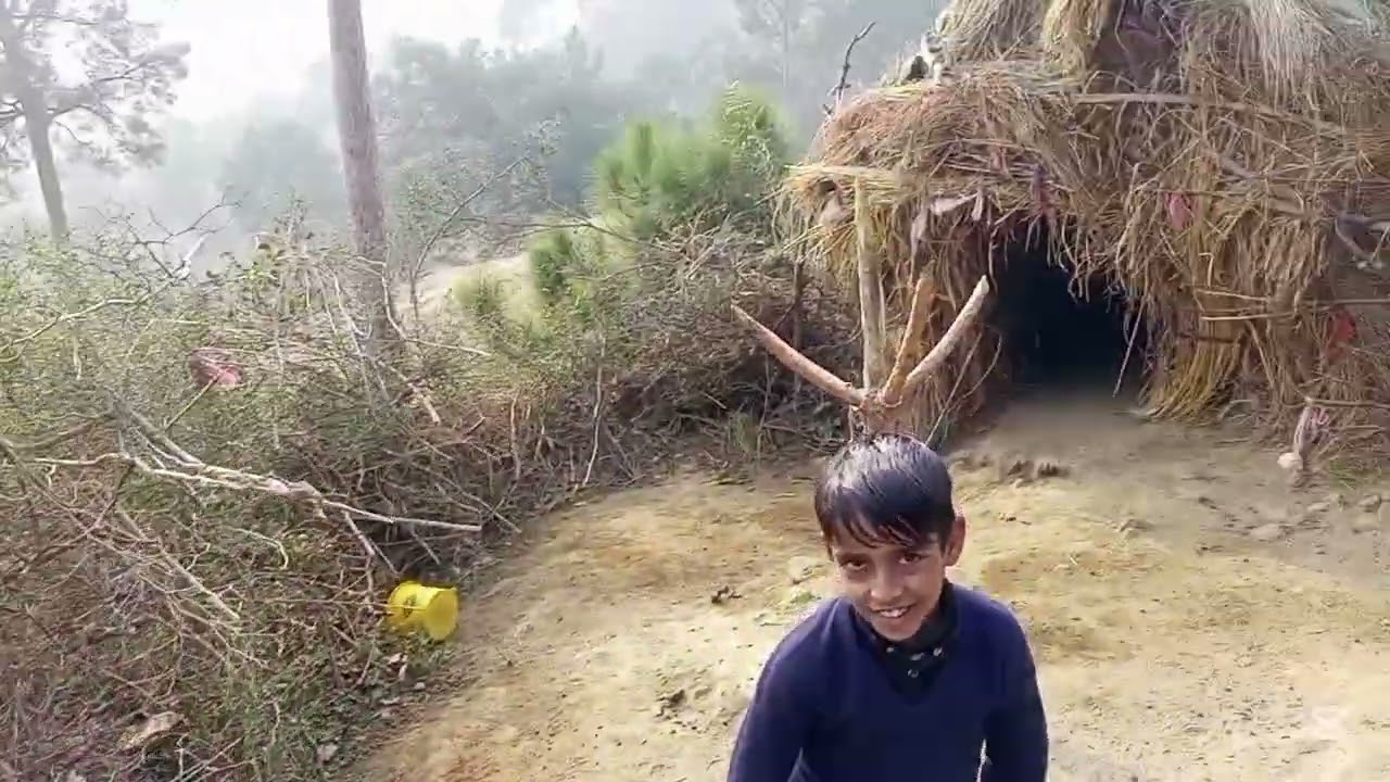 vilge life in Kashmir bkrwal#goodfoodinthevillage #fruitsandvegetables