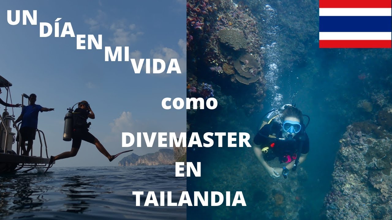 Mi vida como DIVEMASTER en Phi Phi | 2/11 Tailandia 🇹🇭
