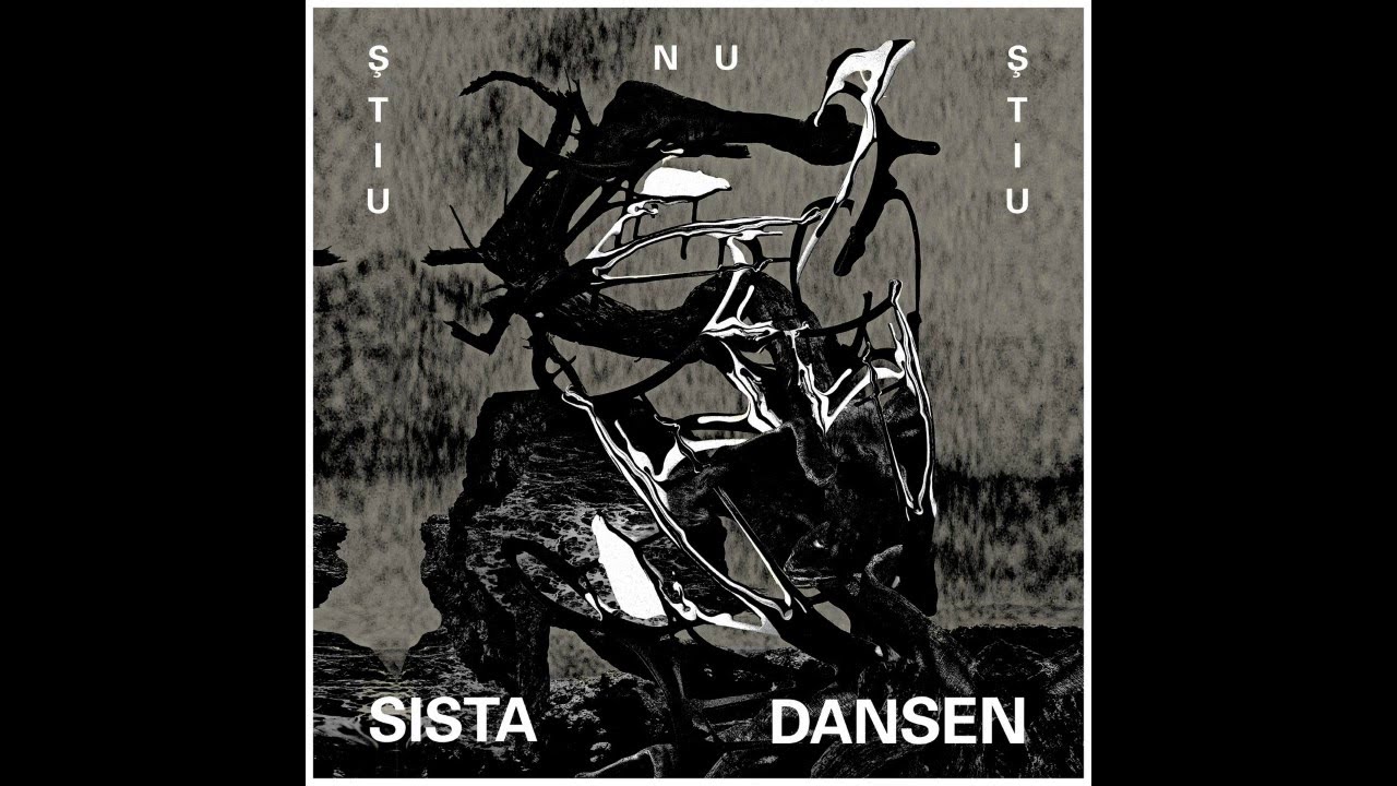 Ştiu Nu Ştiu - Sista Dansen