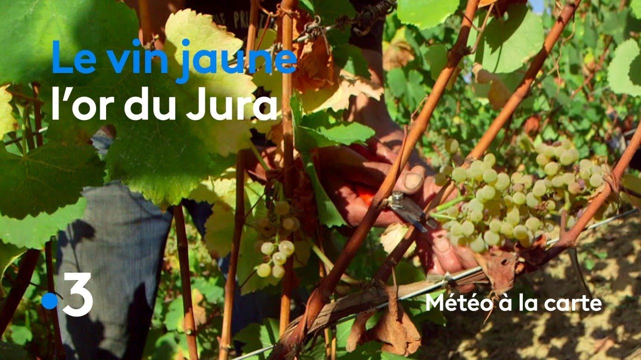 Le vin jaune, l'or du Jura  - Météo à la carte