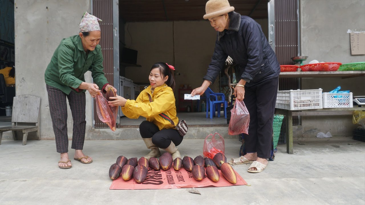 Harvest wild bananas and bring them to the village to sell - Ms Ca building a new life