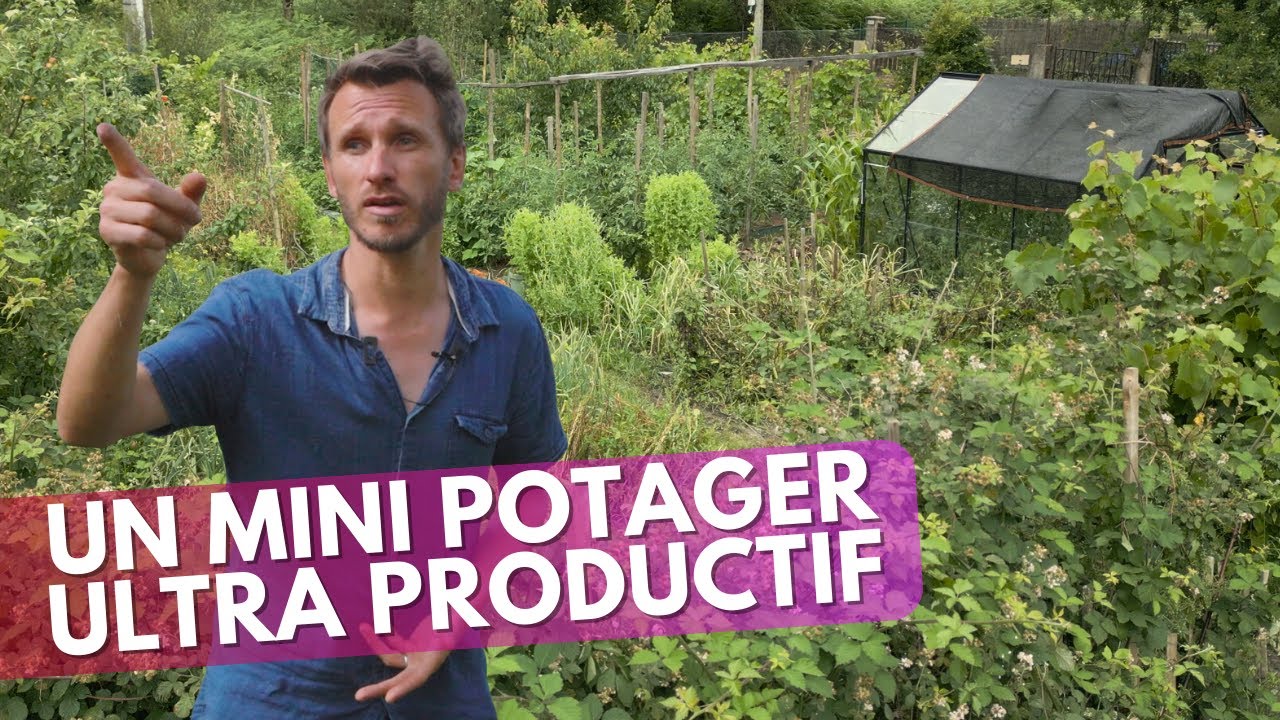 IL CULTIVE un petit POTAGER familial hyper PRODUCTIF