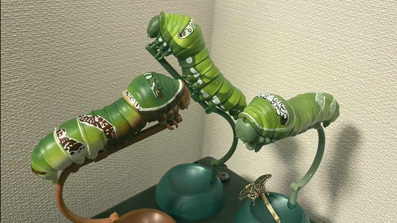 アゲハの幼虫ガチャがかわいすぎる🐛🐛🐛🦋