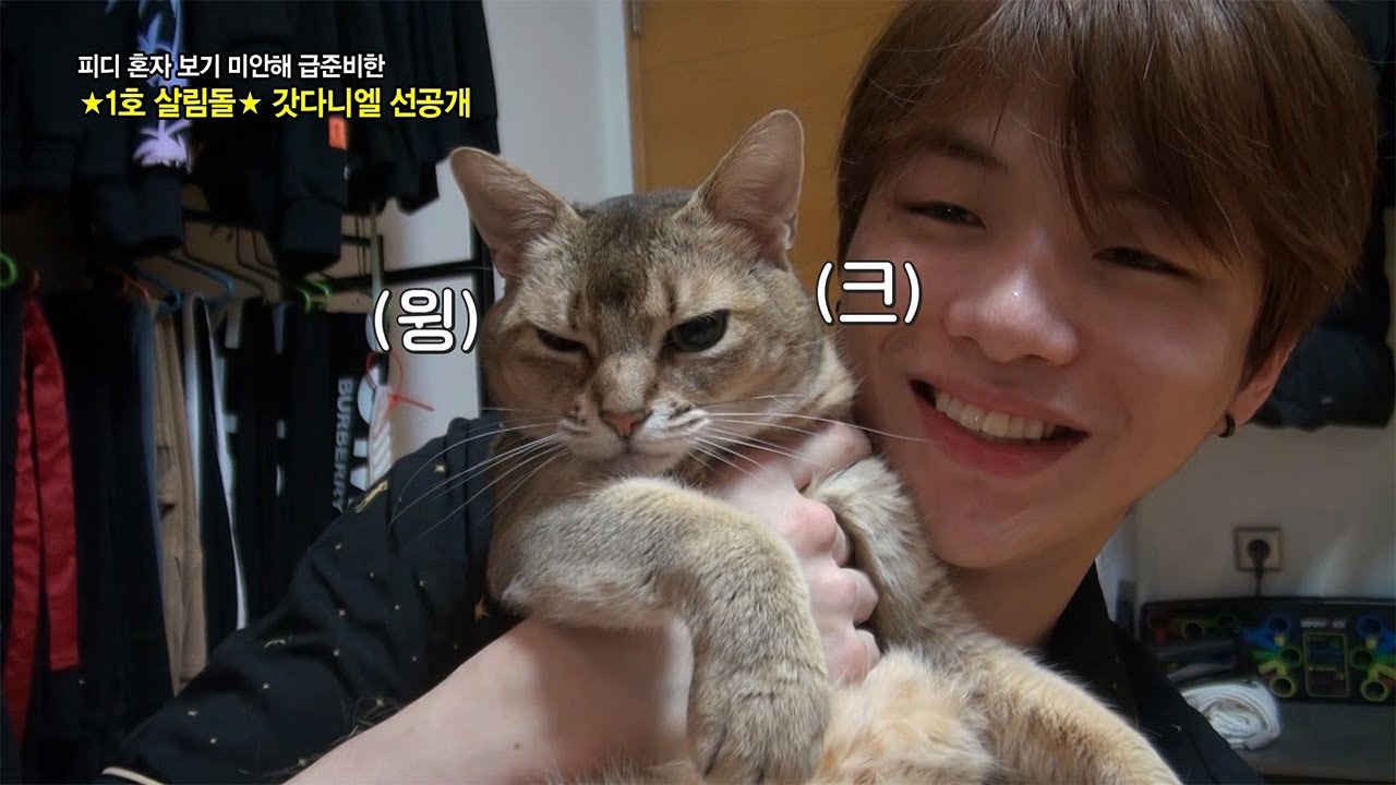 [선공개] 1호 살림돌 강다니엘 등장✨️ 제작진들만 보기 아까워서 먼저 공개합니다❤️ ‘갓’다니엘 그 자체😍 [살림하는 남자들/House Husband 2] | KBS 방송