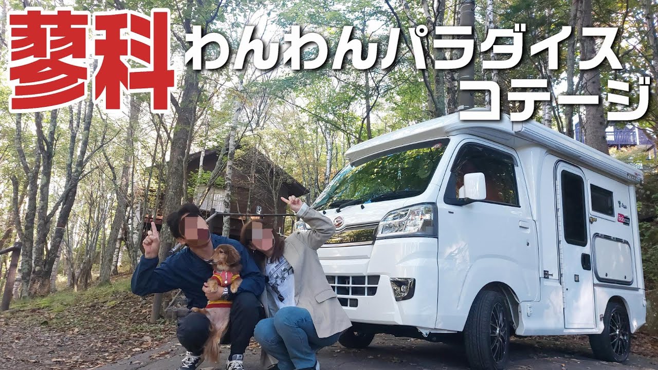【長野・蓼科】蓼科わんわんパラダイスコテージにお泊り！もうどこへも行かずわんこと一緒に過ごすコテージ