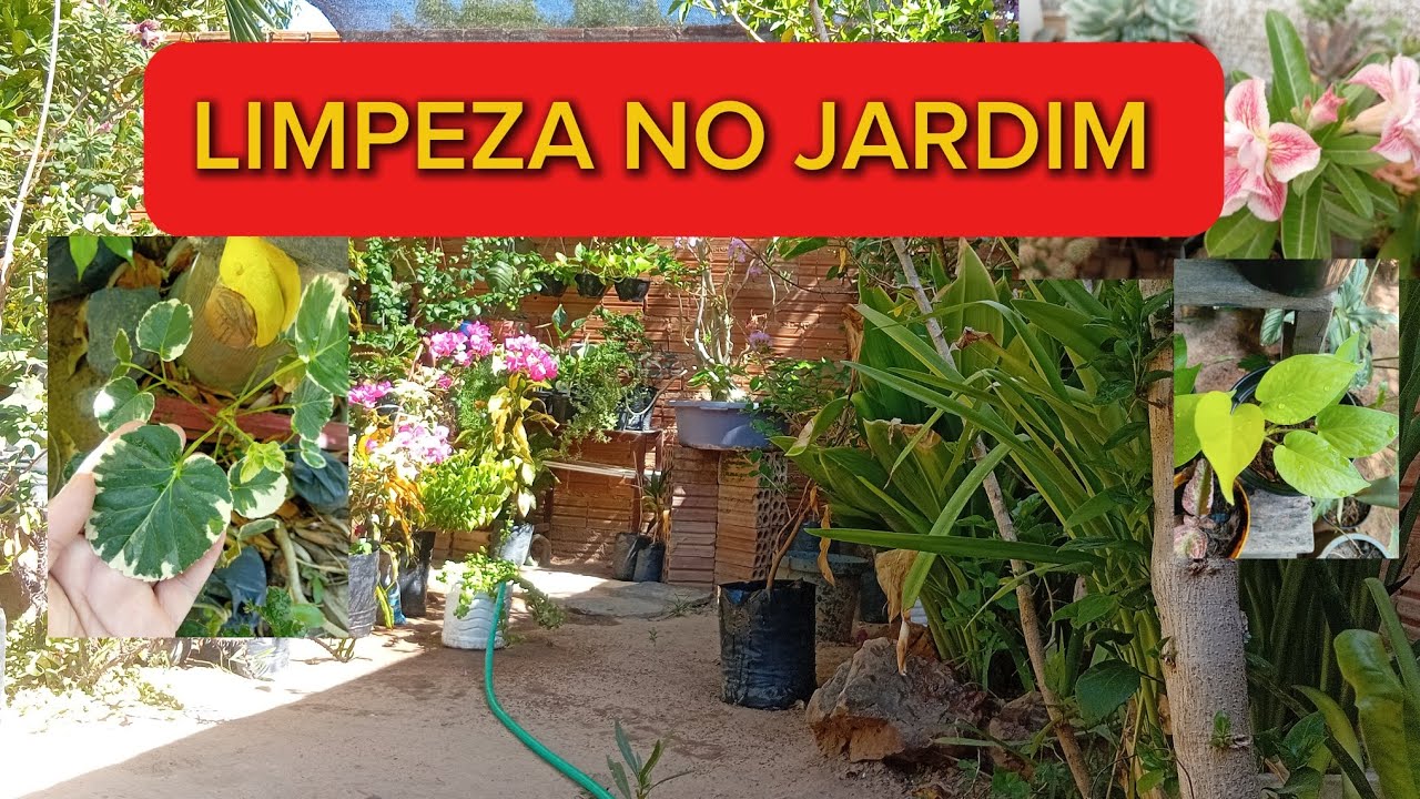 UMA RÁPIDA LIMPEZA NO #JARDIM 