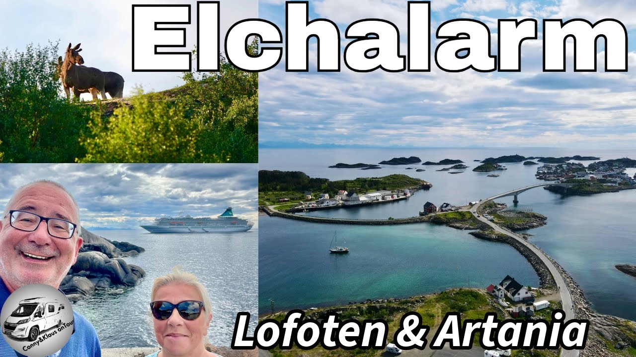 #223 Elchalarm, auf die Lofoten, Traumschiff Artania, es wird eng in Henningsvær. Skandinavien 2024