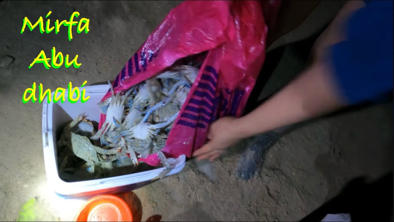 Crabbing and camping at Mirfa Abu dhabi.